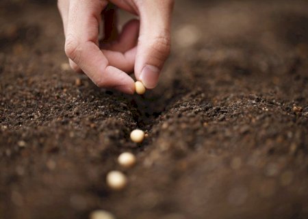 Crédito Rural para MS somou R$ 12,4 bilhões no Plano Safra no segundo semestre de 2022