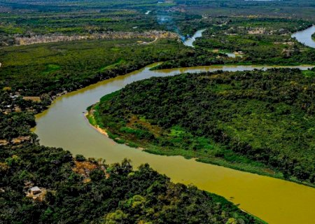 Projeto poderá ampliar proteção ao Pantanal