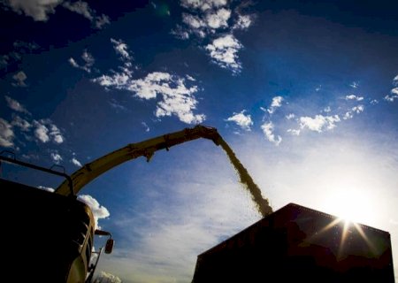 Atrasos na colheita da soja e plantio do milho beiram 30% em MS