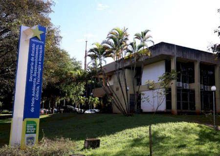Iagro e Semadesc divulgam Nota Técnica obre casos de mortalidade de bovinos em MS