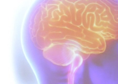 Organização Mundial do AVC alerta que 90% dos derrames são preveníveis