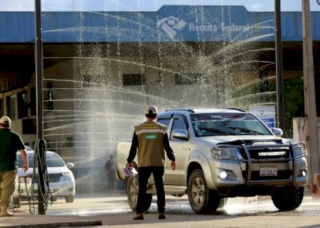 MS receberá R$ 2,5 milhões para intensificar combate à gripe aviária