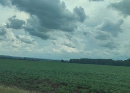 Mato Grosso do Sul replantou quase 60 mil hectares de soja, diz Siga-MS