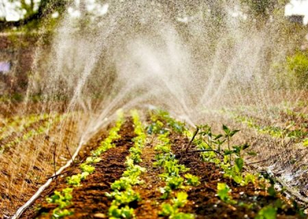 Agricultura familiar de MS terá mais R$ 4 milhões no Programa de Aquisição de Alimentos