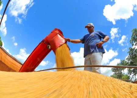 Com alta de 28,1%, exportações de MS chegam a US$ 10,517 bilhões em 2023