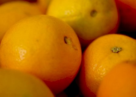 Iagro alerta sobre perigo da doença greening na compra de mudas irregulares