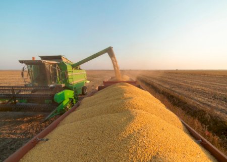 Mato Grosso do Sul já colheu  quase 3 milhões hectares de soja