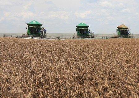 Produtores de MS com perdas na safra podem renegociar dívidas do crédito rural para investimentos