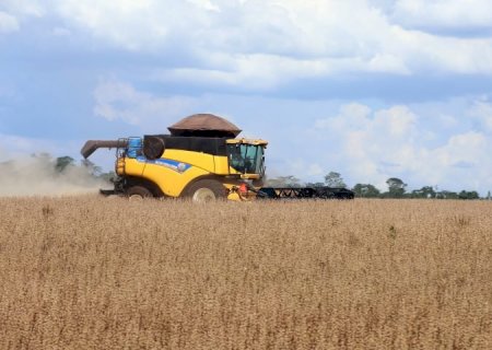 MS teve o maior crescimento do PIB do agronegócio entre estados brasileiros