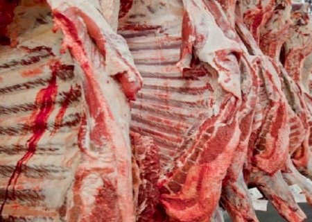 China vai comprar carne de mais cinco frigoríficos de MS