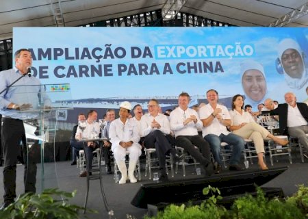 MS quintuplica potencial de abate de bovinos para exportação à China