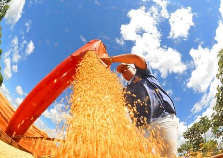 Superávit de MS cresce 16,7% e chega a US$ 1,5 bilhão