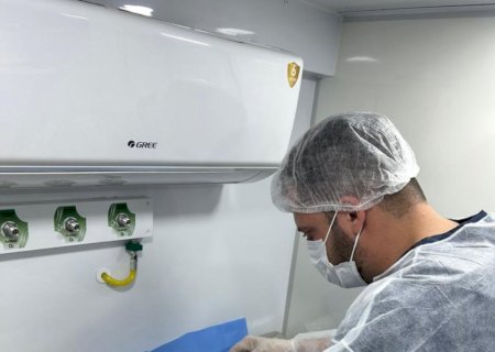 Dourados conclui 1ª fase do Programa Municipal de Castração Animal