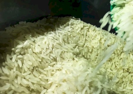 Conab suspende leilão para compra de 104 mil toneladas de arroz polido