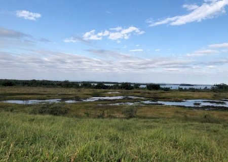 UEMS discute enfrentamento climático com captura de carbono em reserva no sul do Estado