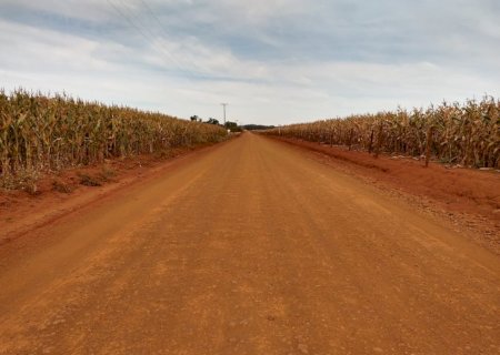Clima influencia a cultura do milho segunda safra em MS