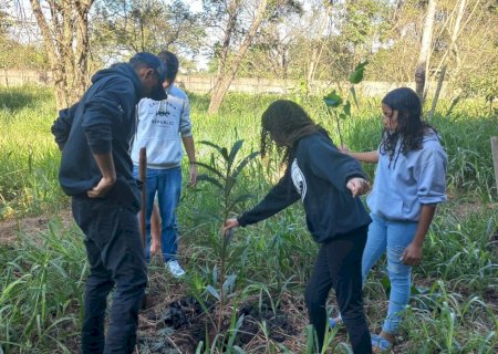 Prefeitura inicia XXI Semana do Meio Ambiente