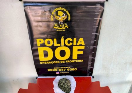 Homem que seguia com maconha para o Paraná é preso pelo DOF