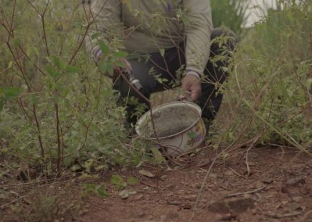 Mato Grosso do Sul registra 10.358 casos de dengue