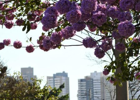 Julho começa com frio, mas temperatura sobe na semana
