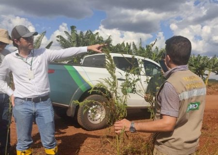 Governo de MS abre concurso da Iagro com 29 vagas para médico veterinário