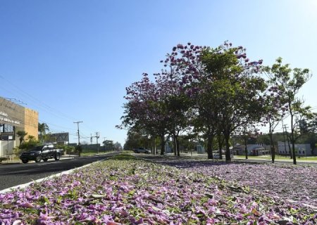Aproximação de frente fria ameniza temperaturas em MS