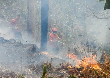 Operação Pantanal: bioma tem oito focos ativos mesmo após semana de frio e chuva em MS