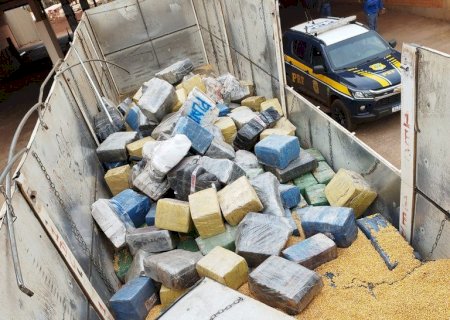PRF apreende 10,9 toneladas de maconha em Angélica