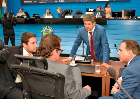 Campanha que conscientiza sobre violência será votada nesta quarta-feira