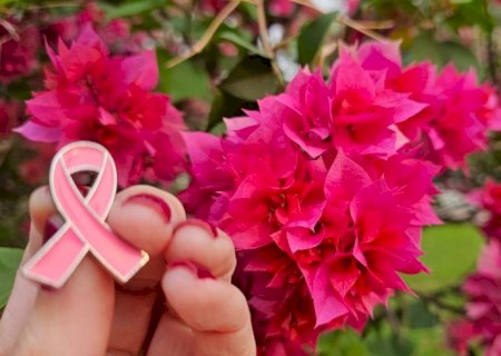 Outubro Rosa: ALEMS fortalece atenção à saúde das mulheres