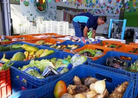 Embrapa sediará Workshop Internacional sobre Prevenção a Desperdício de Alimentos