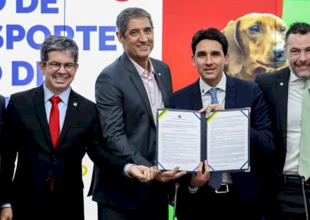 Governo anuncia novas regras para transporte aéreo de pets