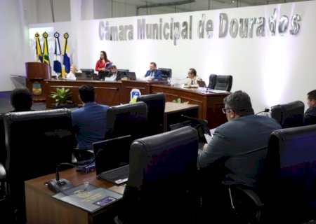 Aprovado projeto de lei que  Institui o Plano Municipal pela Primeira Inf&acirc;ncia