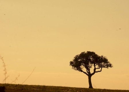 Chuva abaixo da média e calor acima são previstos para fevereiro, março e abril em MS
