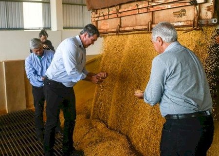 Capacidade de processar soja em MS crescerá 20% com novo empreendimento em Maracaju