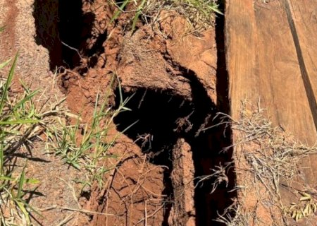 Campo Grande: Zé Teixeira pede urgência na reconstrução de ponte