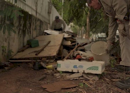 Boletim Epidemiológico: MS registra 1.424 casos confirmados de dengue