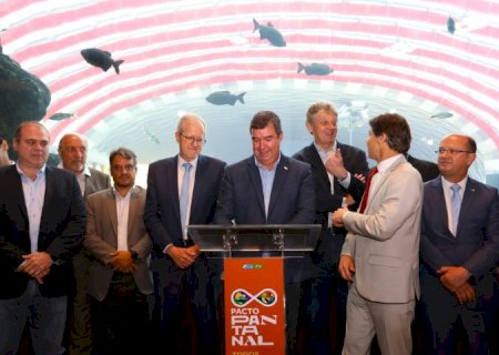 Preservar compensa: Pantanal de MS ganha maior programa de conservação ambiental do país
