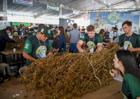 Laguna Carapã realiza o 25º Concurso Pé de Soja e comemora investimentos em infraestrutura 