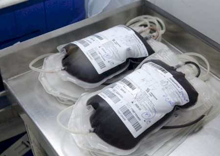 Esperança em forma de bolsas de sangue: servidores se unem à corrente de solidariedade por Cecília