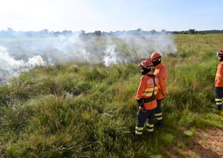 Para proteger parque e propriedades no Pantanal, Governo de MS realiza ação inédita de queima prescrita