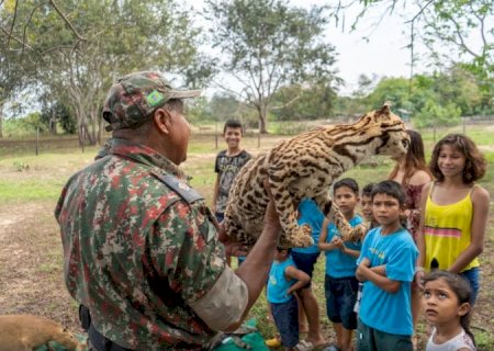 Com expedições e campanhas, PMA faz ações de orientação sobre animais silvestres durante todo o ano