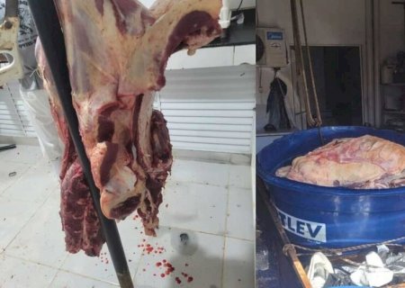 Animais doentes eram abatidos e vendidos para açougues em MS
