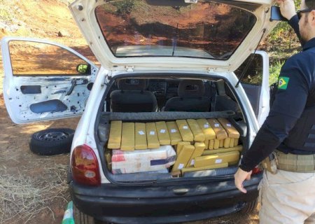 PRF apreende 237,5 kg de maconha em Rio Brilhante (MS)