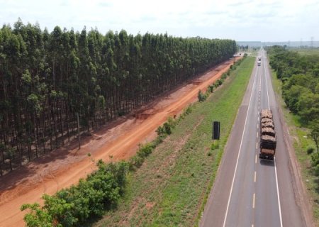 Rota da Celulose vai qualificar rodovias, impulsionar economia e mudar realidade de muitas pessoas