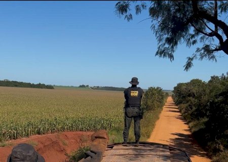 DOF apreende mais de 42 mil pacotes de cigarros contrabandeados em carreta