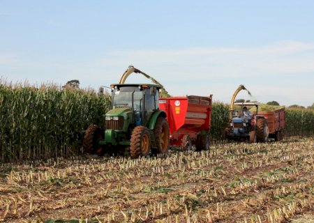 Prefeitura apoia colheita de silagem e fortalece produção de leite em distritos