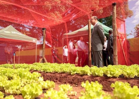 Esperança que floresce entre muros: reforma de escola une educação, dignidade e transformação social em MS