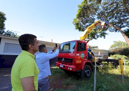 Prefeitura leva serviço de podas preventivas de árvores para a região da Vila Hilda