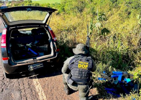 DOF apreende mais de 200 quilos de droga em meio a mata em Ivinhema
